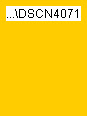 wp3166514e_0f.jpg