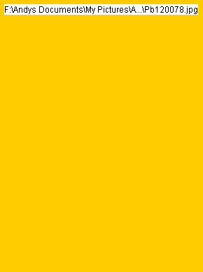 wp4bea640c_0f.jpg