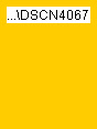 wp5c39fe28_0f.jpg