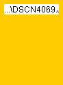 wp640237b5_0f.jpg